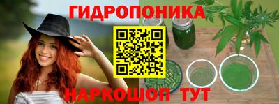 прущие грибы Лесосибирск