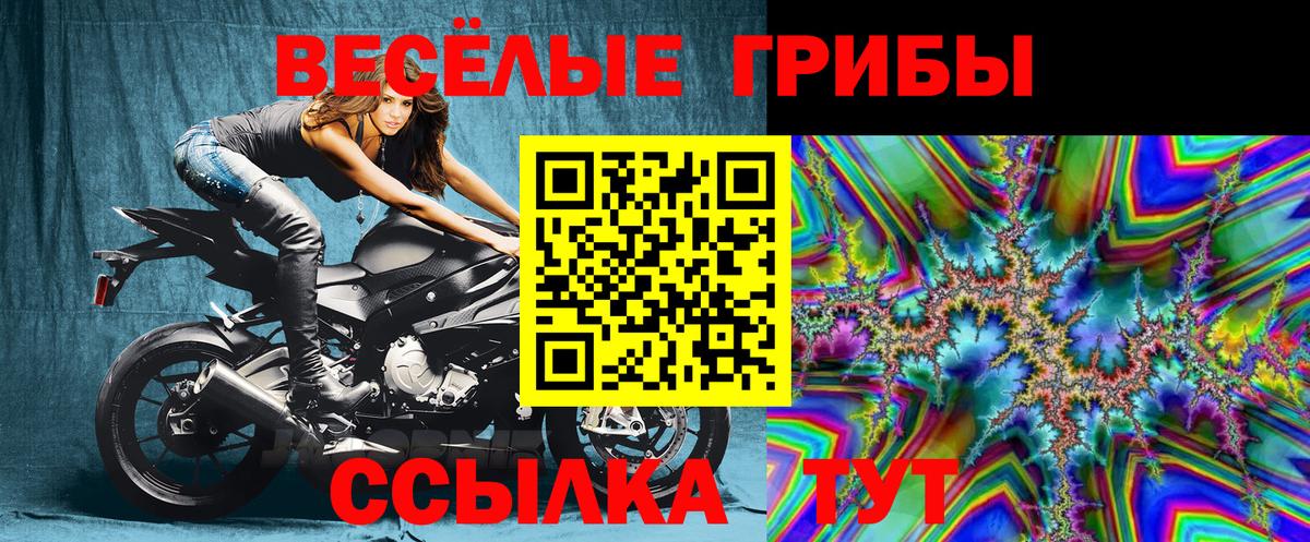 Галлюциногенные грибы Psilocybe Воркута